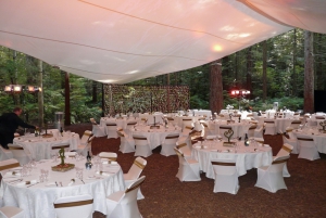 Unique Rotorua Wedding Venues