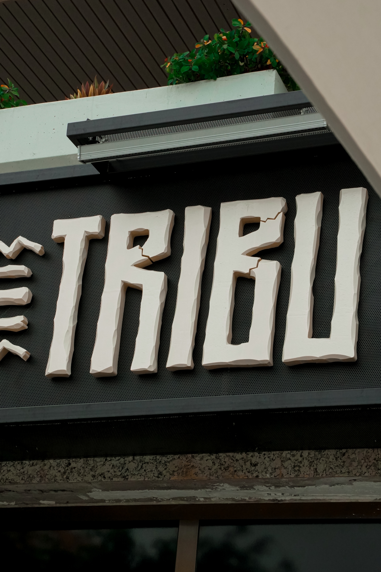 Tribu Cafe & Cocktails Club