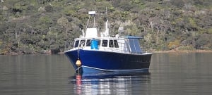 Wellington Fishing Charters