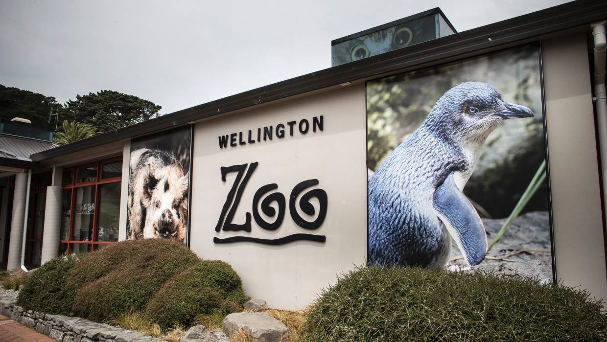 Top Wellington Tourist Attractions