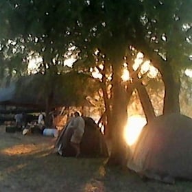 Falcon Lodges & Campsite