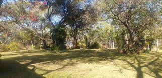 Harare Shabalala Gardens