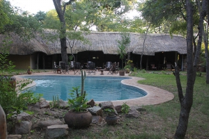 Miombo Safari Camp