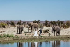 Pure Africa - Weddings