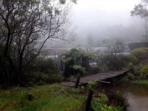 Wind And The Rain Lodge