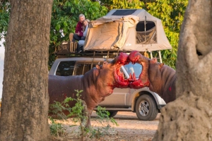 Zimbabwe 4x4 Vehicle  & Camping Equipment Hire