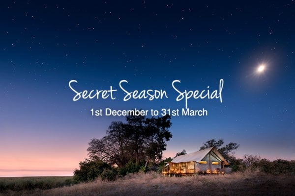 African Bush Camp Secret Season Special