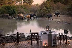 African Bush Camps 9 -Day Luxury Adventure Safari