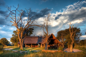 Bomani Tented Lodge Stay for 3 Pay for 2 Nights Special