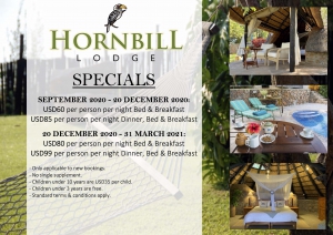 Hornbill Lodge, Kariba - 2020 Specials