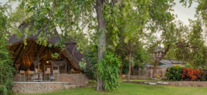 Hornbill Lodge Special
