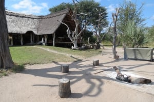 Imvelo Safari Lodges  2022 Specials