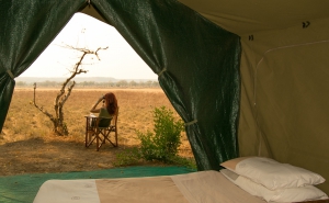 Last Chance To Experience Mahove Tented Camp in 2020!