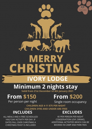 Merry Christmas Special At Ivory Camp