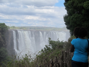 Roar and Snore Vic Falls – Wildlife Encounters