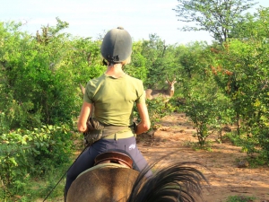 Zambezi Horse Safaris Post Lockdown Special