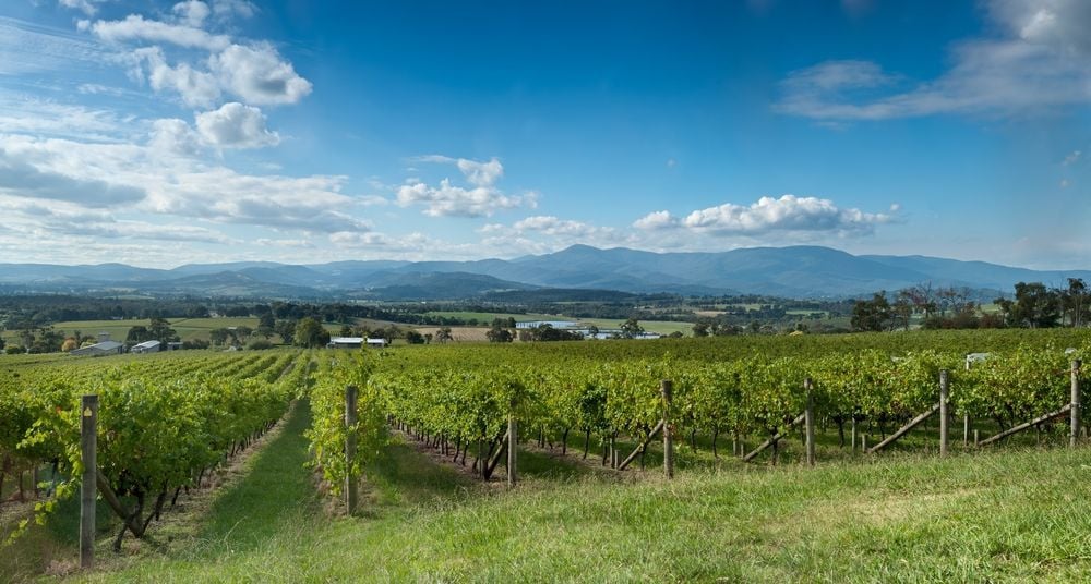 The Yarra Valley