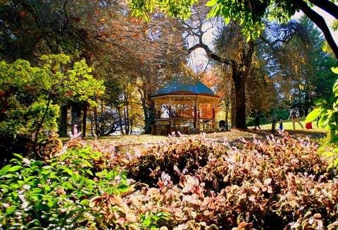 Wombat Hill Gardens, D Sherwin photo