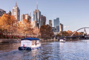 1.5Hr Yarra River Crown Flames and City Lights Cruise