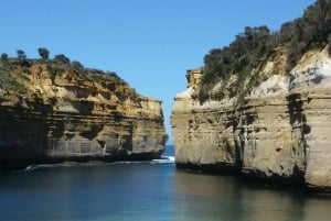 2 Day Great Ocean Road Small Group Tour