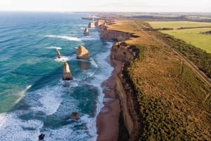 2-dniowa prywatna wycieczka premium po Great Ocean Road