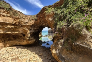 2-dniowa prywatna wycieczka premium po Great Ocean Road