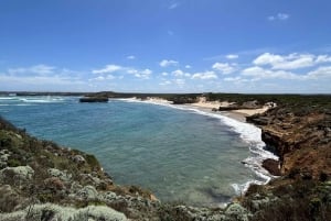 2-dniowa prywatna wycieczka premium po Great Ocean Road