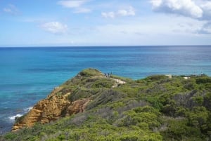 2-dniowa prywatna wycieczka premium po Great Ocean Road