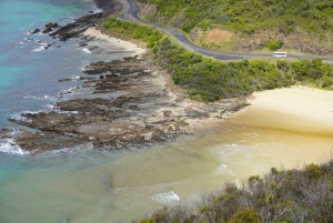 2-dniowa prywatna wycieczka premium po Great Ocean Road