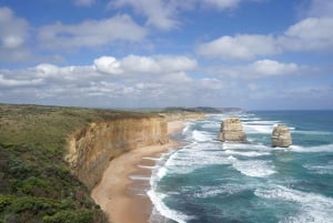 2-dniowa prywatna wycieczka premium po Great Ocean Road