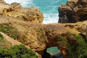 2-dniowa prywatna wycieczka premium po Great Ocean Road