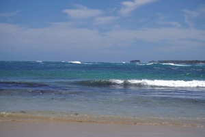 2-dniowa prywatna wycieczka premium po Great Ocean Road