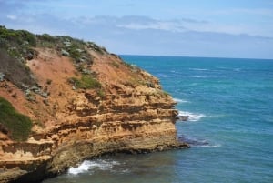 2-dniowa prywatna wycieczka premium po Great Ocean Road