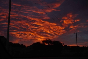 2-dniowa prywatna wycieczka premium po Great Ocean Road