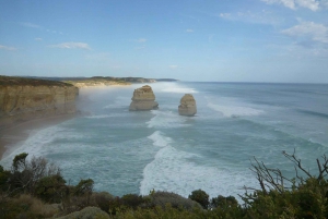 Best Great Ocean Road Tours