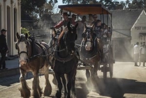 Melbourne: Private Ballarat & Sovereign Hill Gold Mine Tours