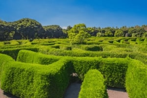 Melbourne: Tour della penisola di Mornington e del santuario illuminato dalla luna