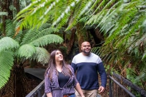 Najlepsza wycieczka po Great Ocean Road i 12 Apostołach – wiele języków