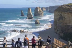 Najlepsza wycieczka po Great Ocean Road i 12 Apostołach – wiele języków