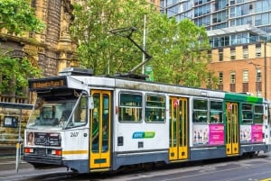 Best of Melbourne: Private Walking Tour with a Local