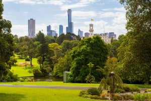 Best of Melbourne: Private Walking Tour with a Local