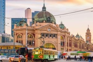 Best of Melbourne: Private Walking Tour with a Local