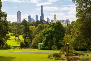 Best of Melbourne: Private Walking Tour with a Local
