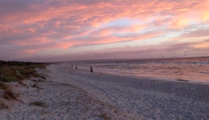 Top 5 Beaches in Melbourne