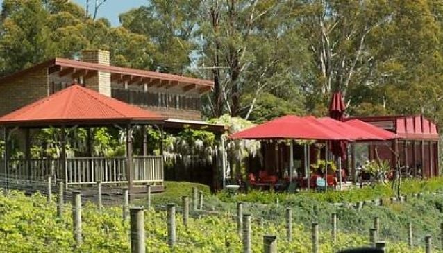 Brandy Creek Wines & View Cafe