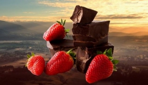 Best Tours in Melbourne