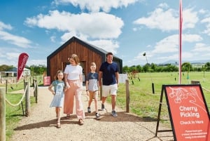 Coldstream: Cherry-Picking Experience