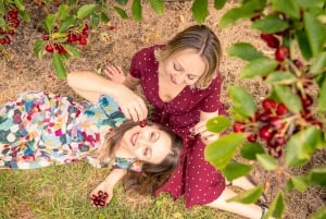 Coldstream: Cherry-Picking Experience