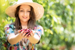 Cherry-Picking Wandin East