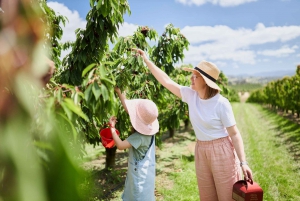 Cherry-Picking Wandin East